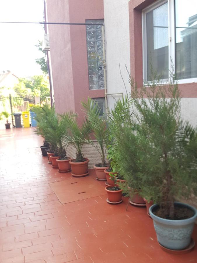 Vila Liz Eforie Nord Hotel Buitenkant foto