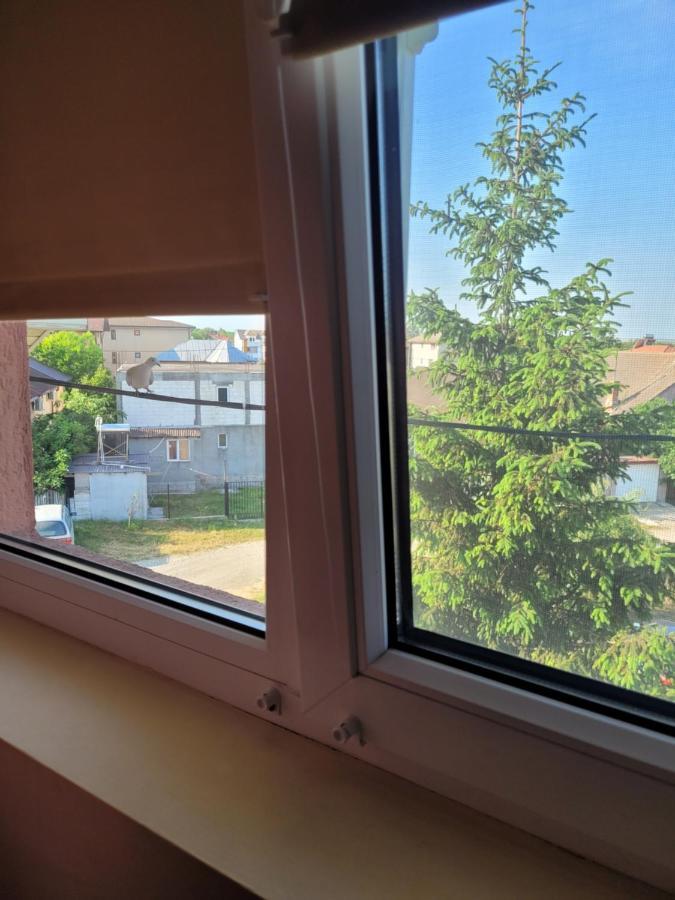 Vila Liz Eforie Nord Hotel Buitenkant foto